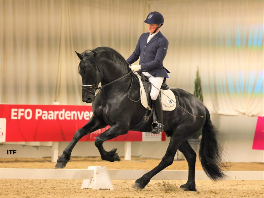 Gerke V 8e in finale Friesian Talent Cup!