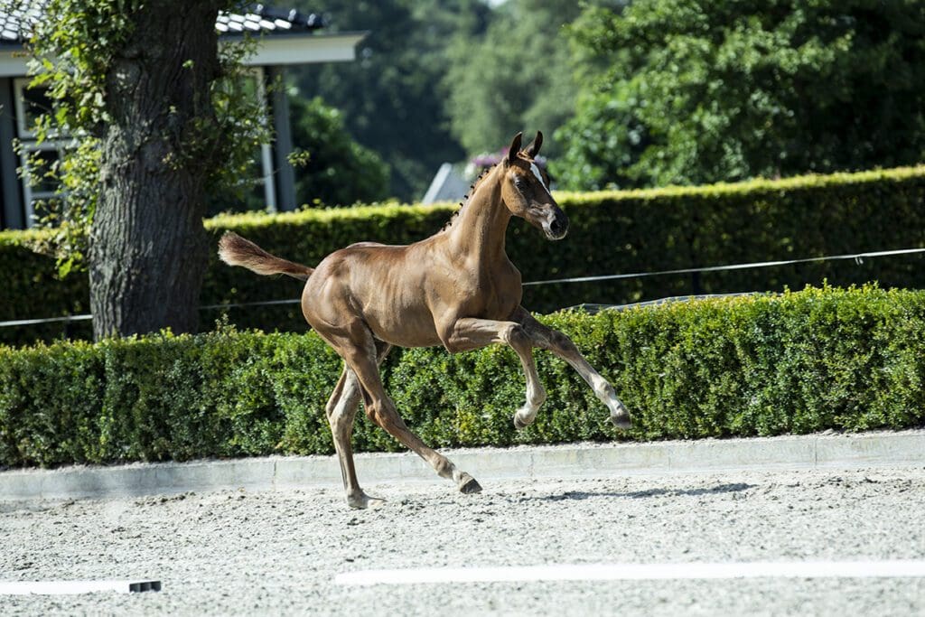 Silvano